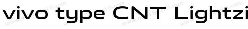 vivo type CNT Lightzip字体转换